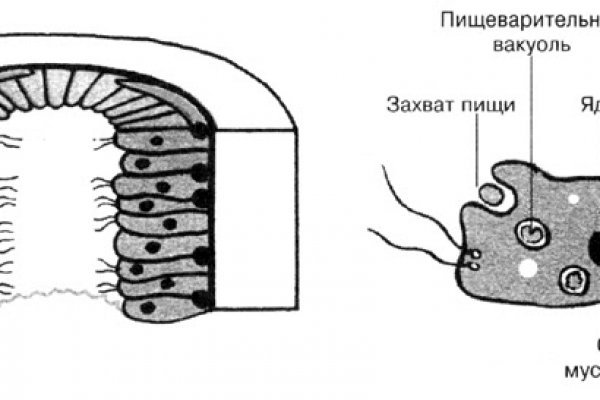 Даркнет сайт скачать