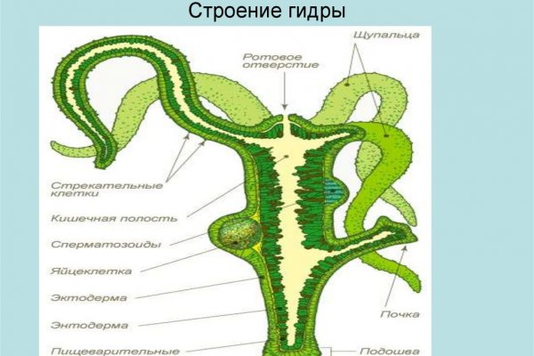 Кракен шоп это