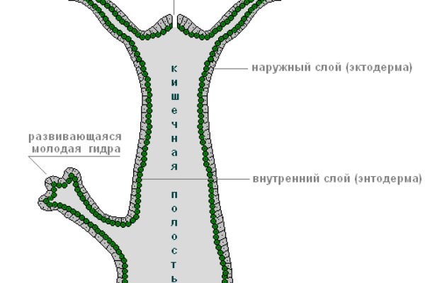Ссылка на кракен онион