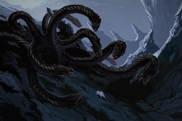 Kraken kraken link24 info