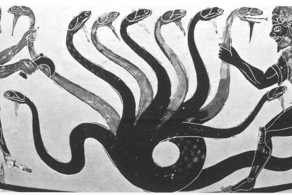 Kraken 12