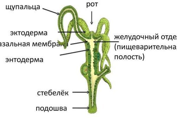 Кракен маркетплейс что там