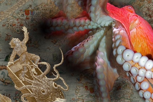 Kraken сайт зеркала