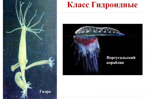 Как заказать на кракене